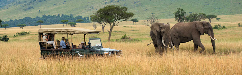 2-days-kenya-lodge-safari-to-maasai-mara-national-reserve